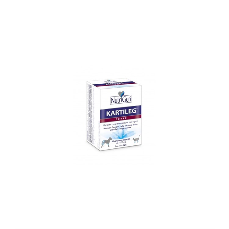 KARTILEG FORTE 120 TAV