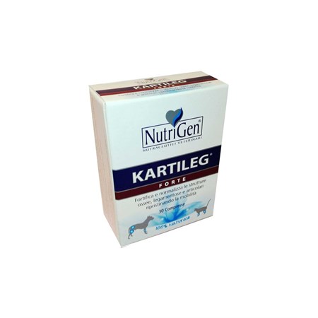 kartileg forte 60 tav