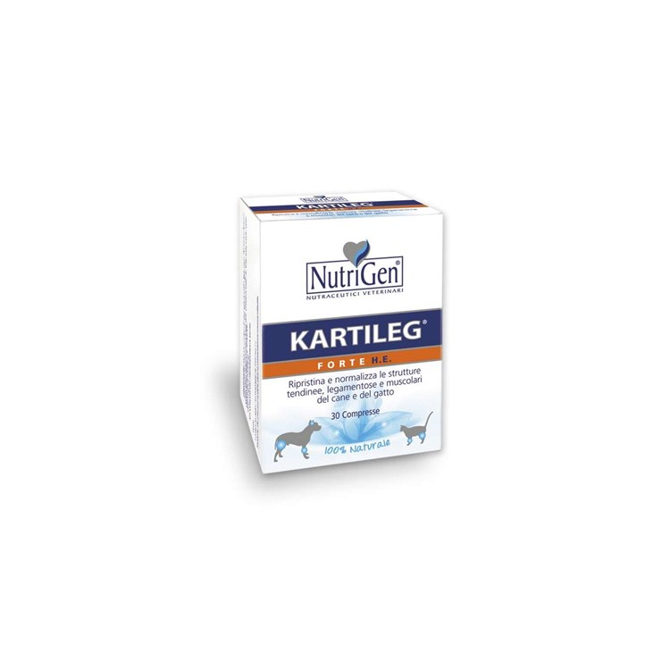 KARTILEG FORTE HE 60 TAV