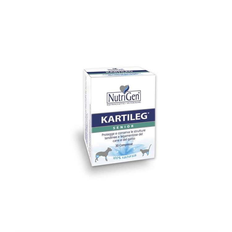KARTILEG SENIOR 60 TAV