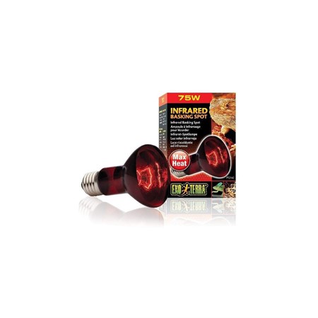 lamp r2075w infrared pt 2142