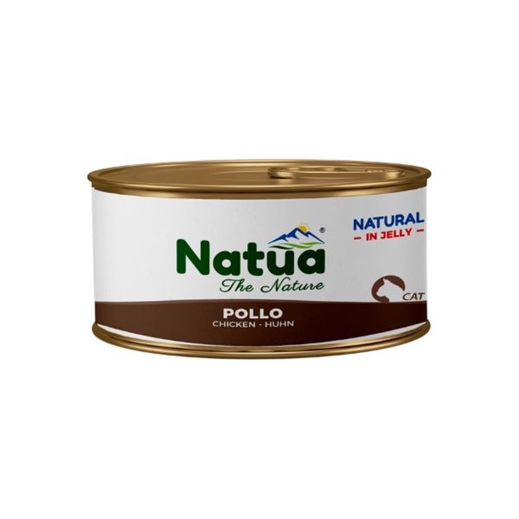 Natural Adult Cat Jelly Pollo
