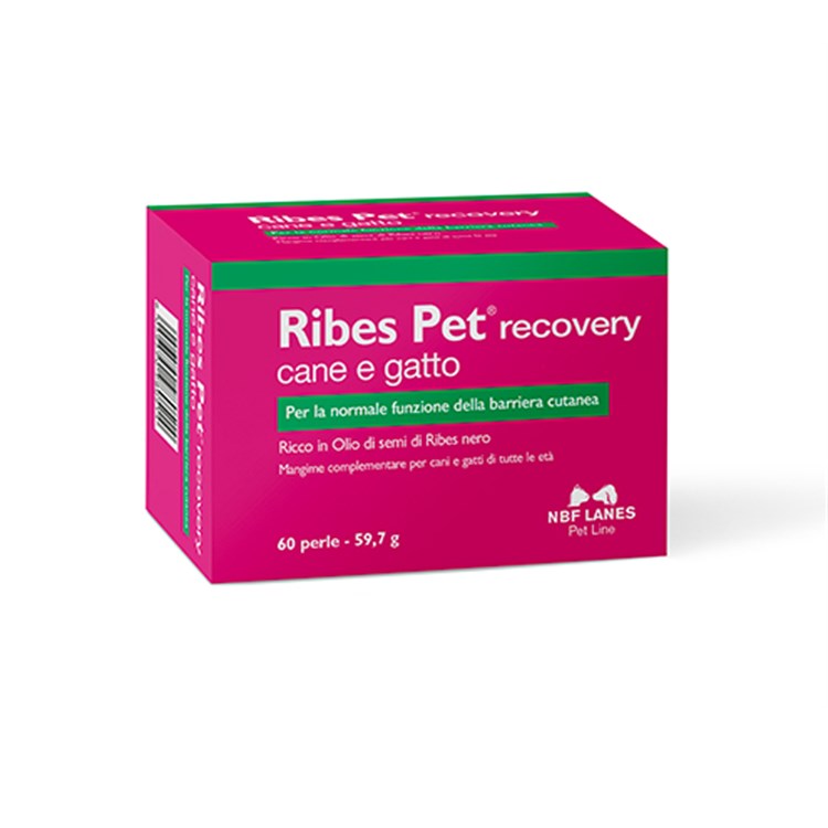 NBF Lanes Ribes Pet Recovery 60 Perle