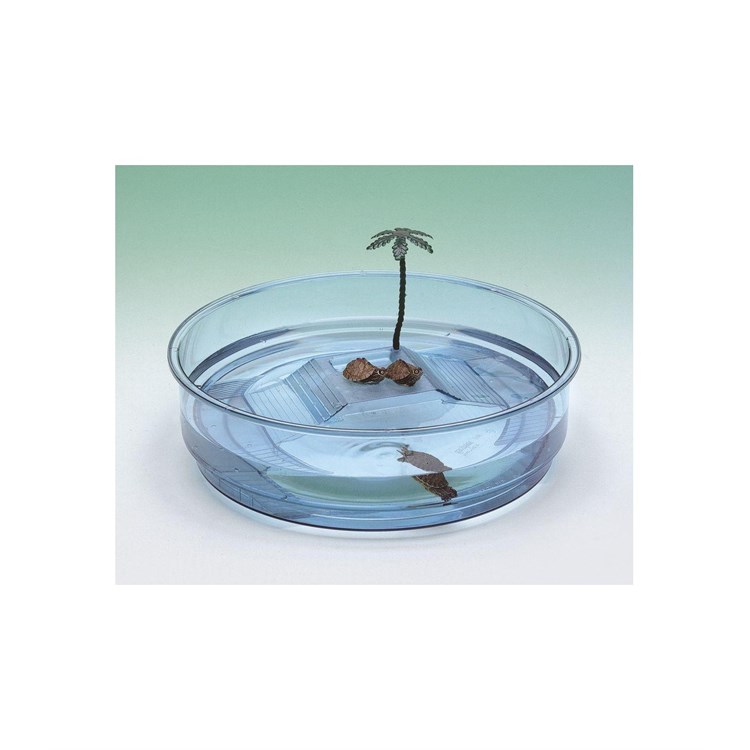 OASI AZZURRA TARTARUGHIERA