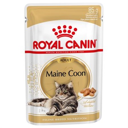 royal canin breed maine coon umido 85 gr per gatti