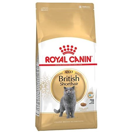 Royal Canin British Shorthair Adult 2 kg in Gatti