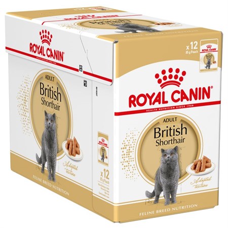 royal canin british shorthair adult umido 85 gr per gatti