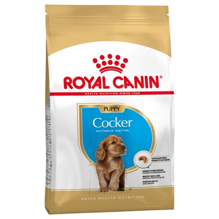 royal canin cocker puppy 3 kg crocchette cani