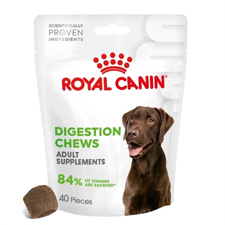 royal canin digestion adult chews supplement 160 gr snack per cani