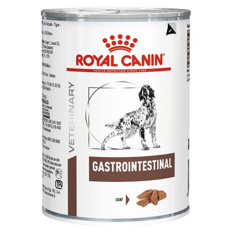 royal canin gastro intestinal cane gr 200