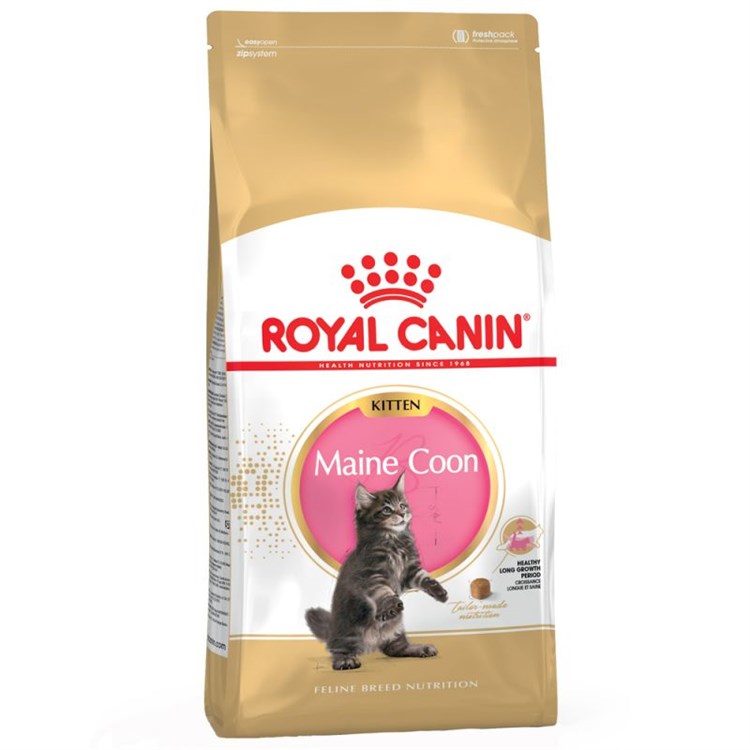 Royal Canin Kitten Maine Coon 10 kg Crocchette Per Gattini