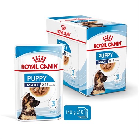royal canin maxi puppy 140 gr busta in salsa umido per cane