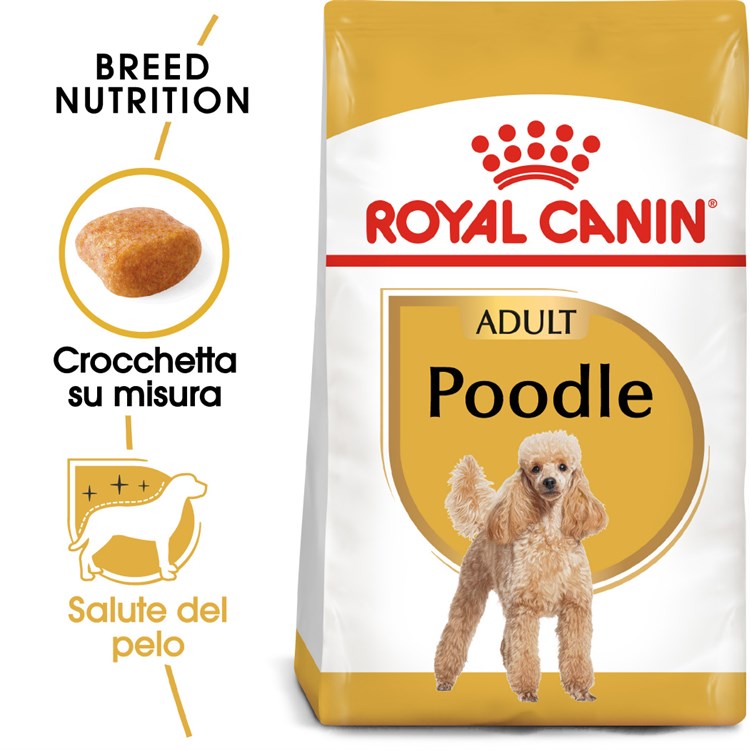 Royal Canin Poodle Adult 1,5 kg Barboncino