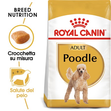 royal canin poodle adult 500 gr croccchette per barboncino