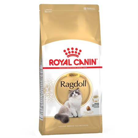 Royal Canin Ragdoll Adult 2 Kg Alimentazione Gatto in Gatti