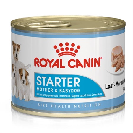royal canin starter mousse mother babydog 195 gr scatoletta umido per cane