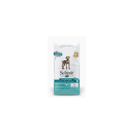 schesir dog large puppy chicken 12 kg