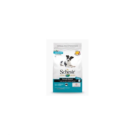 schesir dog small main fish 2 kg
