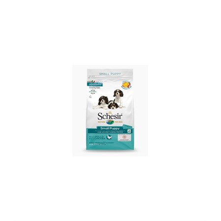 schesir dog small puppy chicken 2 kg