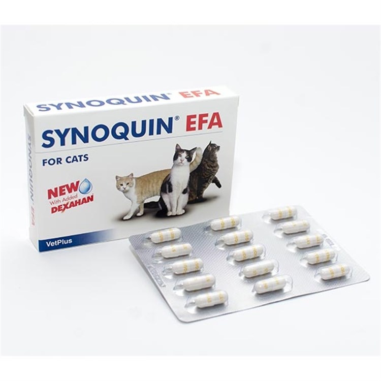 Synoquin EFA Cat