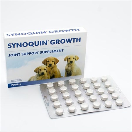 synoquin growth 60 cpr