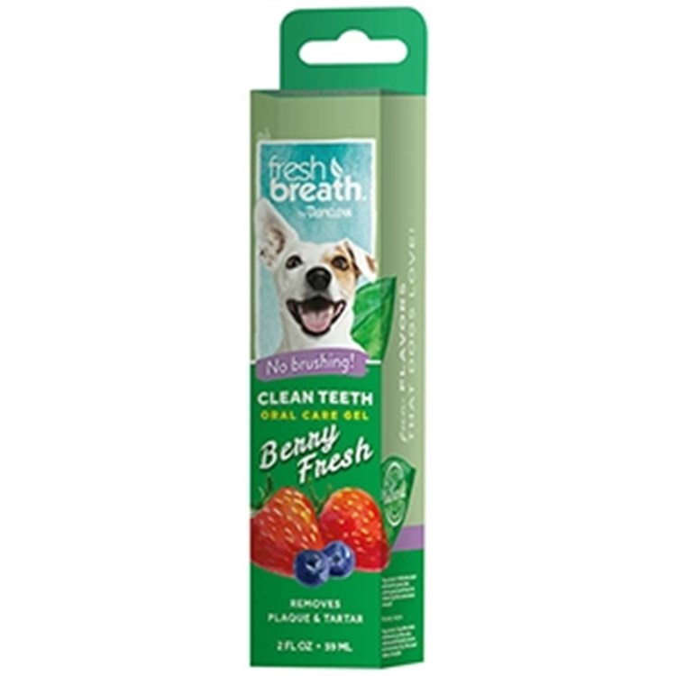Fresh Breath Clean Teeth Oral Care Gel Berry Fresh