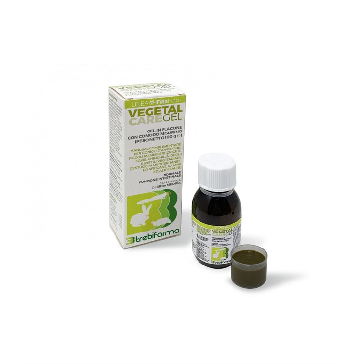 VEGETAL CARE GEL FLACONE 100 GR