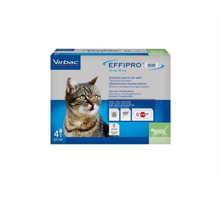 virbac effipro duo spot on 4 pipette gatto